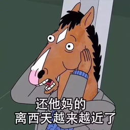 长大了明白一个道理人到中年,人生就是一部西游记