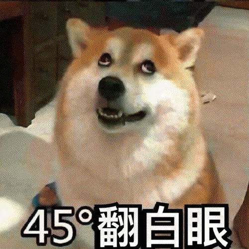 搞笑狗狗表情包第四弹