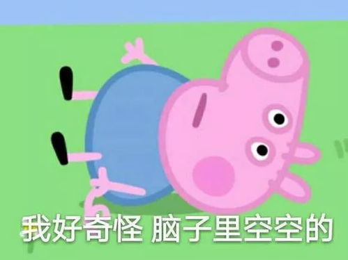 寒假宿舍群被集体禁言舍友居然连钱都不收了