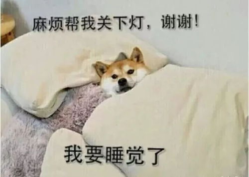 睡觉表情包搞笑图片徐艺洋