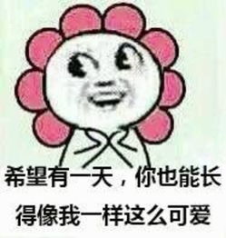 喝多了的表情图片搞笑柠檬