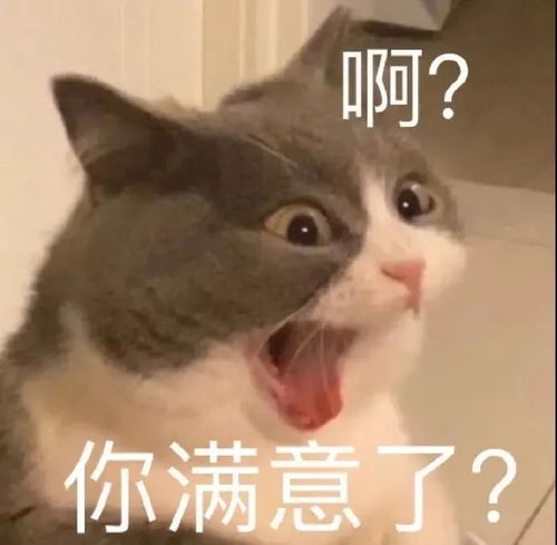 沙雕表情包有些事我心里特别有数