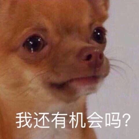 姐妹们有豆浆机或者破壁机推荐吗