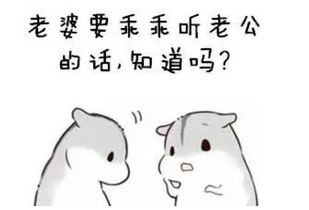 致我最爱的那位先生,这就是我想要的未来