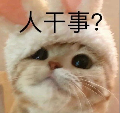 萌宠表情包别说话,吻我