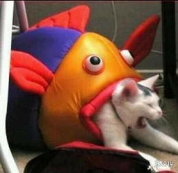 猫头像可爱卡通猫吃鱼