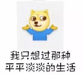 干了2天的自由职业者,我又沙雕得回去找工作了