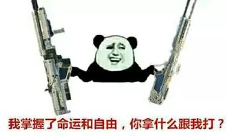 使命召唤ol中什么枪值得买