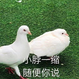 e句话看天下丨蔡徐坤新歌唱的可是心里话