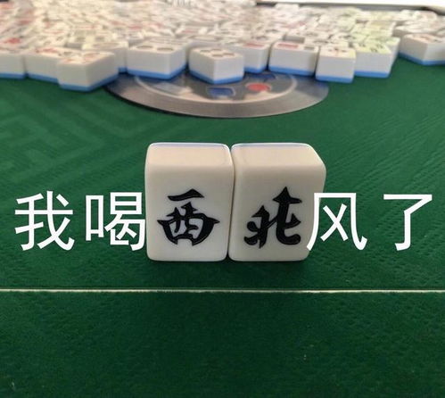 微信搞笑打麻将表情加南