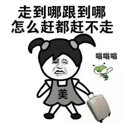 蚊子大作战13个大招教你夏天远离蚊虫叮咬