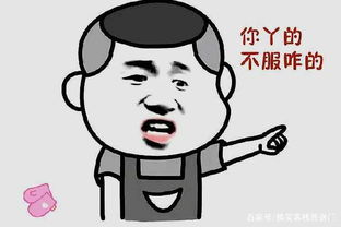 每日一笑新鲜的表情包段子,搞笑来袭,请注意查收