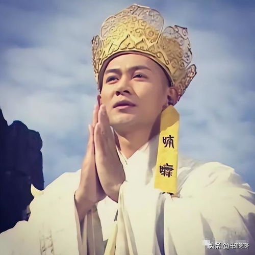 最能打唐僧,真应了那句如果佛法渡不了你,贫僧也会一些拳脚
