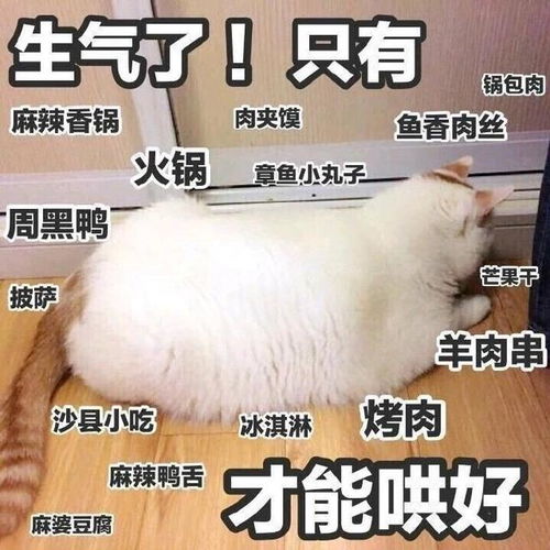 幽默笑话当时我就在妈妈肚子里,这么明显你居然就看不出来