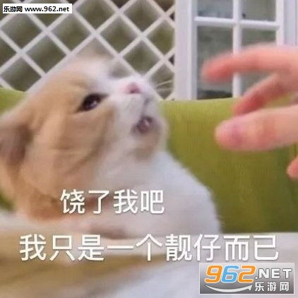 我鬼混回来了表情包图片萨摩耶我鬼混回来了表情包下载乐游网游戏下载