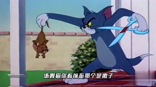 给沙雕猫和老鼠配上搞笑四川话,配音笑得肚儿痛