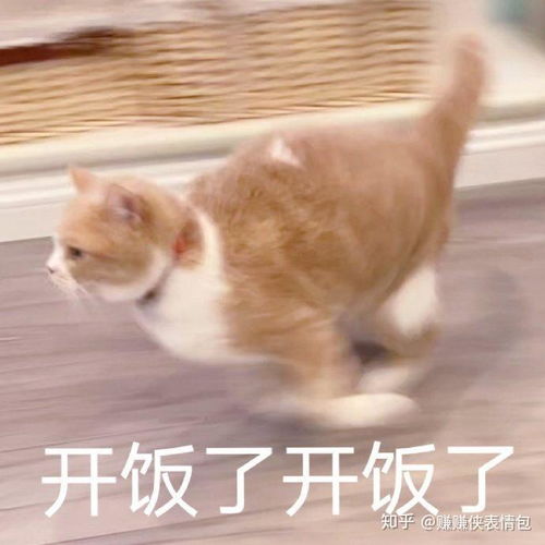 搞笑表情包图片生气了,绝交,这次不可能哄好的