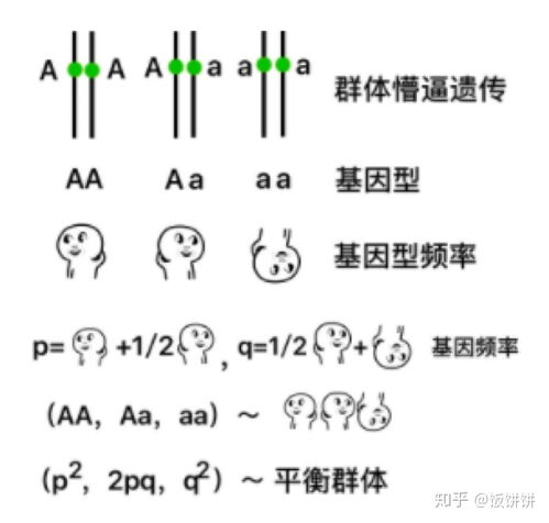 求推荐与遗传或者基因有关的科普书