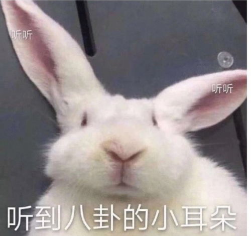 快看不然就没了