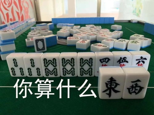 壁纸学会打麻将后,我仿佛读懂了人生