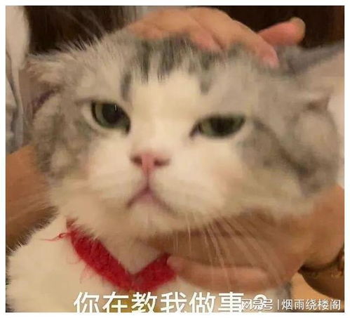 幽默段子既然你没有女朋友,就让我练练手吧