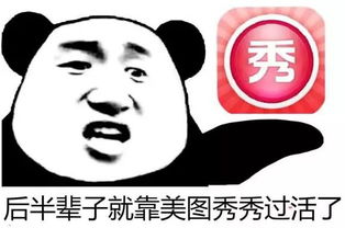 表情搞笑小熊猫