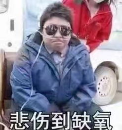 韩红表情包下载韩红表情包全套韩红看了想打人下载最新版当易网