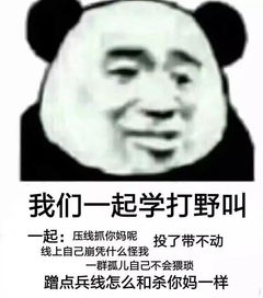 一组王者荣耀表情包一起来学打野叫