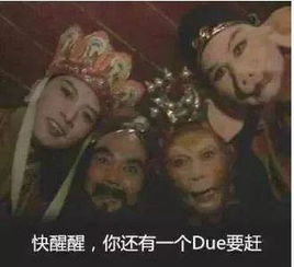 出国如出家,别人脱单我脱发留学党最易秃头专业了解一下