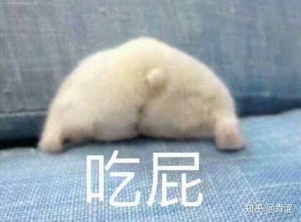 你有哪些有趣的表情包
