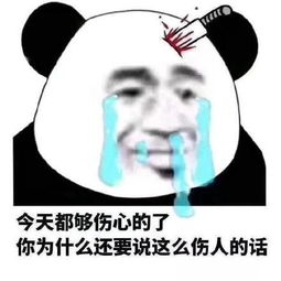 搞笑熊猫头斗图表情包你不理我的时候,我总觉得你在做头发