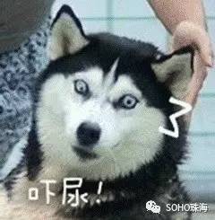 恐怕这是珠海人这几天最害怕听到的一句话
