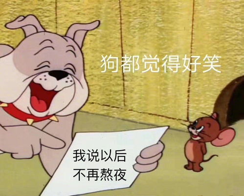 有哪些有趣的熬夜表情包