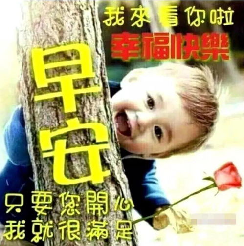 可爱的早上好问候表情包,我来看你啦为你带来美好祝福,幸福快乐