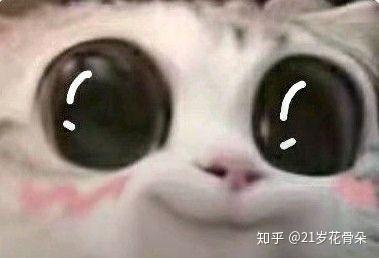 油腻版熊猫头表情包大全持续更新ing