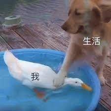 有没有在工程类公司工作的小可爱,想去财务部应聘...