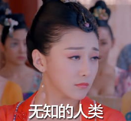 萧才人表情包撕逼专用萧才人搞笑表情图片腾牛个性网