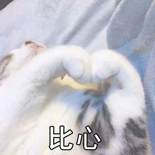 影视书籍