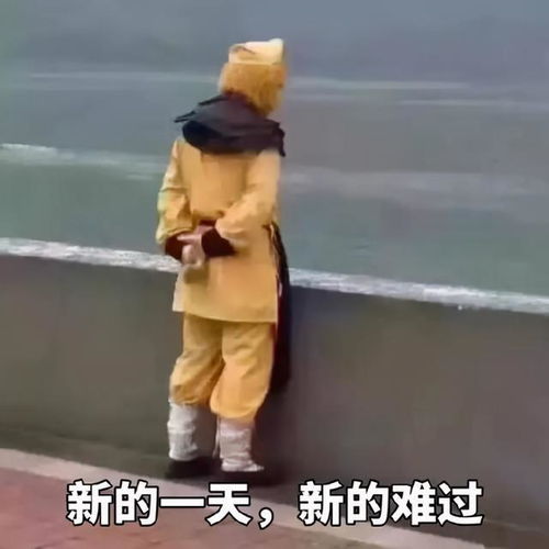 给钱的猴子表情包