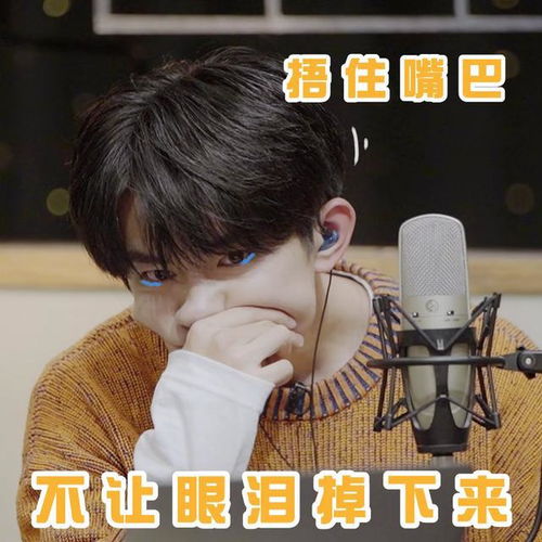 tfboys分享200528易烊千玺表情包小合集,可可爱爱的百变小烊崽