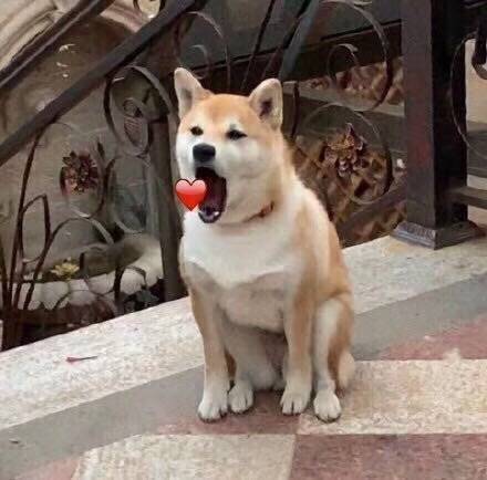 小说