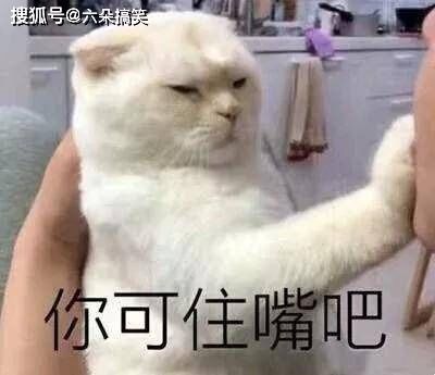搞笑段子你先靠边,稍安勿躁,看我能不能挠秃它就完了