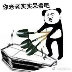 最全熊猫头棺材系列表情包暴雨天气被安排的明明白白﹃