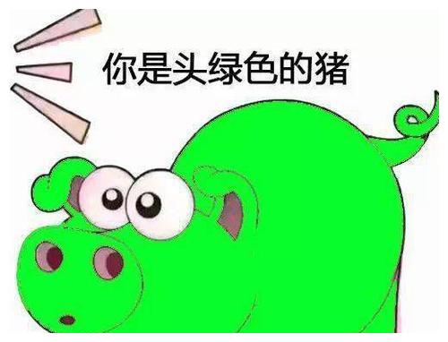 逗你乐女儿道妈你说陈师傅是谁呀我才不愿意长得像他呢