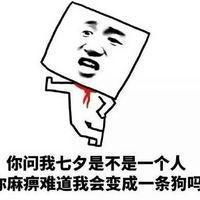 适合单身狗发的七夕搞笑表情包我也是有对象的人