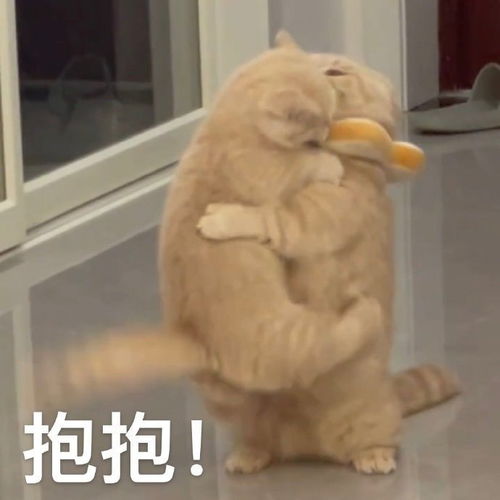 超搞笑又气人的表情包