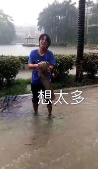 广东暴雨里的硬核段子手人在广东已漂到失联