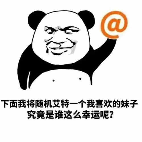 搞笑斗图表情包,这是最新款的帽子,最适合你
