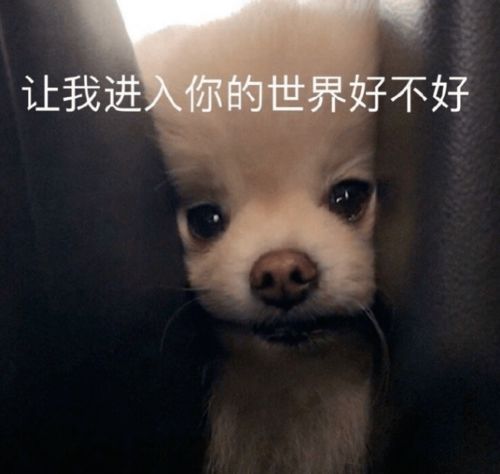 动态搞笑斗图表情包沙雕
