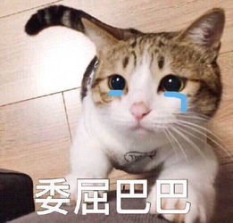 快扶我起来,我要上班